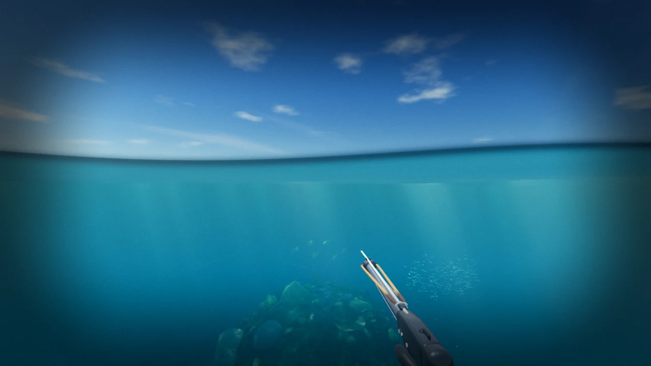 Split view at the waterline: blue sky above, a coral bommie and a bait school below